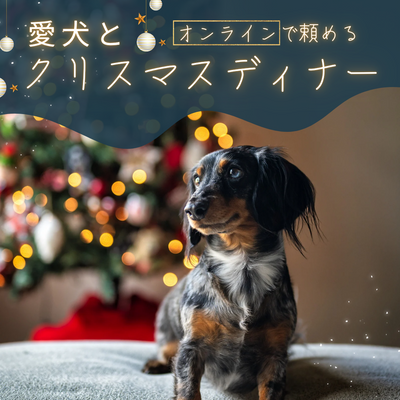 愛犬とクリスマスディナーを楽しもう!オンラインで頼めるおすすめセット