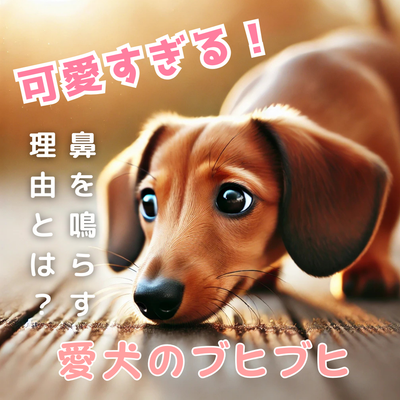 愛犬のブヒブヒが可愛いすぎる!鼻を鳴らしながら匂いを嗅ぐ理由とは?