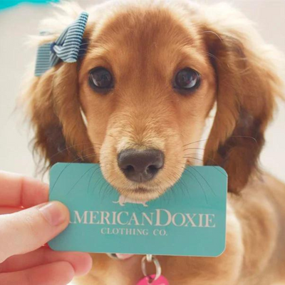 ダックスフントとオーナーのためのファッションブランド、American Doxie Clothing Co.の魅力