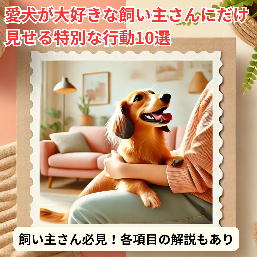 犬を飼いたい方に必見のお買い得情報です！！ わんこと幸せな暮らし for Beginners | 晋遊舎