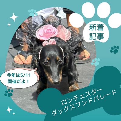 【ダックスフンドパレード】ロチェスターで人気の年間イベント