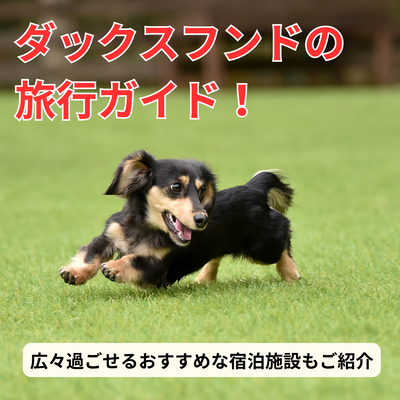 ダックスフンドの旅行ガイド!広々過ごせるおすすめな宿泊施設もご紹介