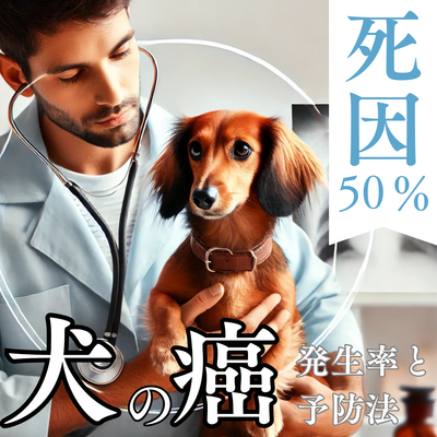 犬の死因の50%はがん!?発生率・死亡率・予防法を徹底解説!