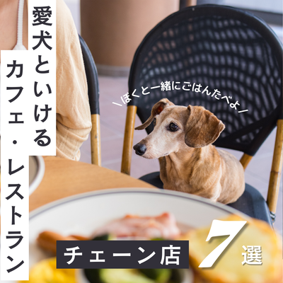 ダックスフンドの飼い主さん必見【愛犬と行ける全国のチェーン店】レストラン&ファストフード7選