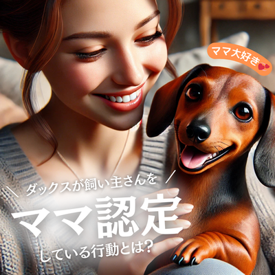 ダックスフンドの「ママ認定」行動とは?愛犬との絆を深めよう
