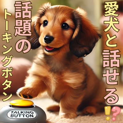 愛犬と話せる!?話題のトーキングボタンの仕組みと使い方