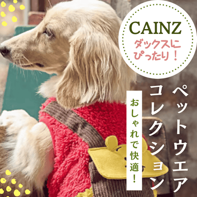 ダックスフンドにぴったり!CAIN(カインズ)のペットウェアコレクションでおしゃれ&快適に
