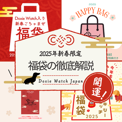 【2025年新春限定】Doxie Watch Japan福袋の徹底解説!一番お得なのはどれ?