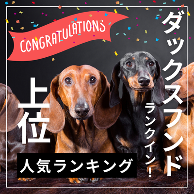 ダックスフンドが人気犬種ランキング上位に!その秘密に迫る