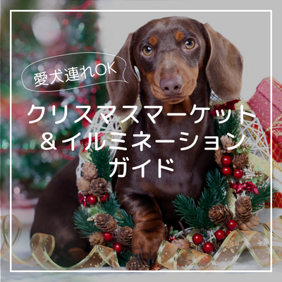 愛犬と一緒に行けるクリスマスマーケット&イルミネーションガイド
