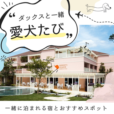旅行好き必見!ダックスフンドと一緒に泊まれる宿とおすすめスポット