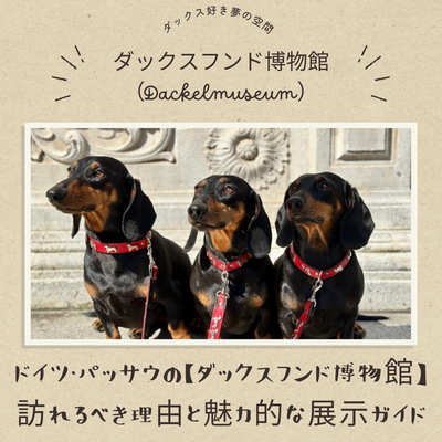 ドイツ・パッサウの【ダックスフンド博物館】訪れるべき理由と魅力的な展示ガイド
