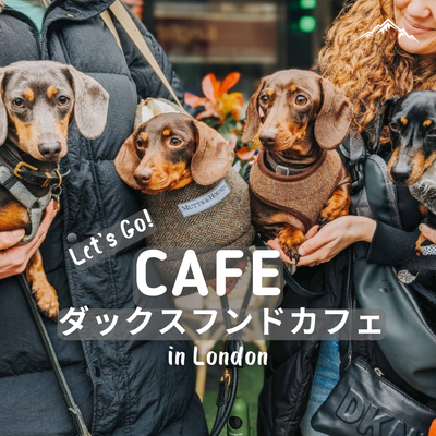 【ダックスフンド専用パプチーノバー】ロンドンの人気イベント!ダックスフンドカフェ