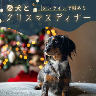 愛犬とクリスマスディナーを楽しもう！オンラインで頼めるおすすめセット