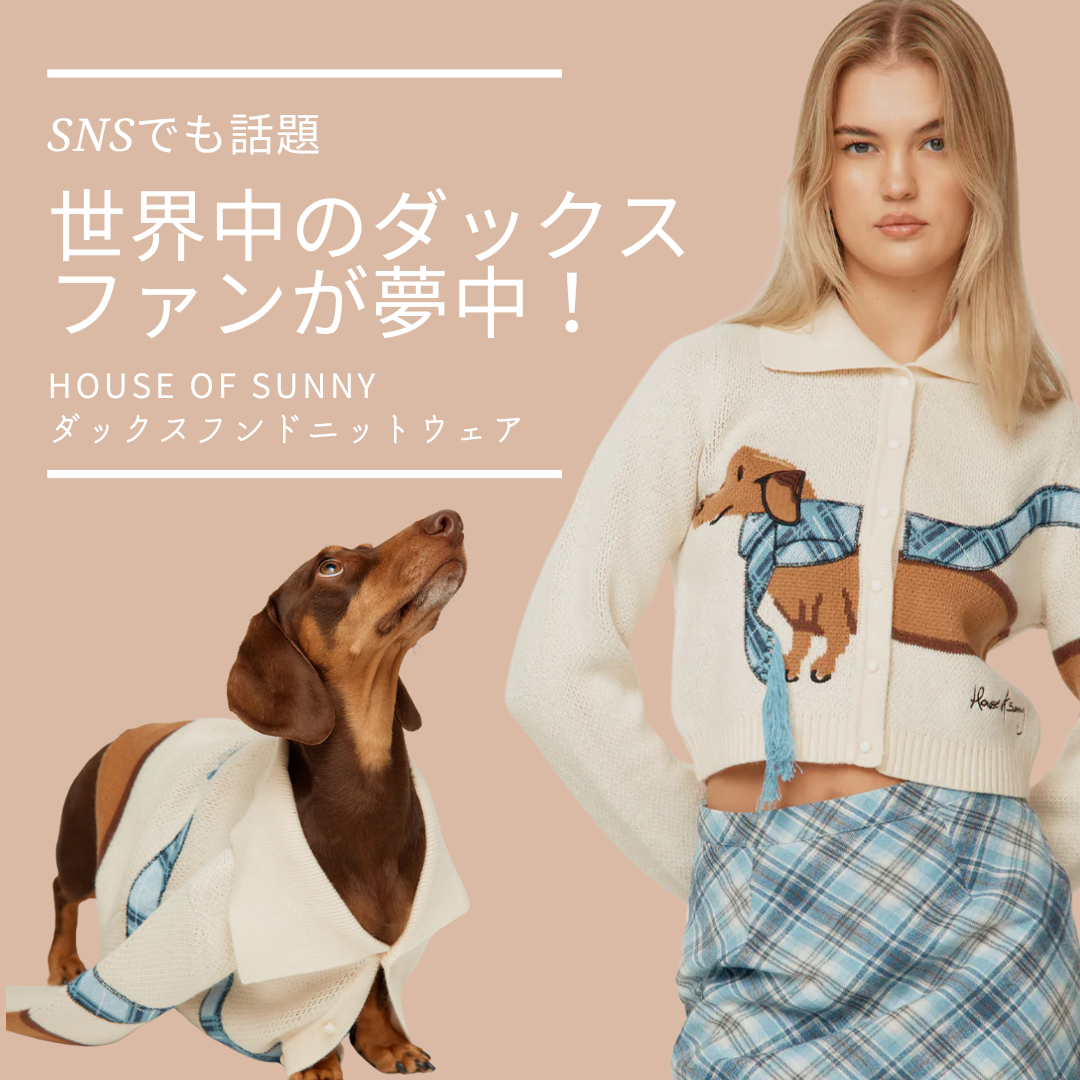先行公開】世界中のダックスファンが夢中に！House of Sunnyのダックス