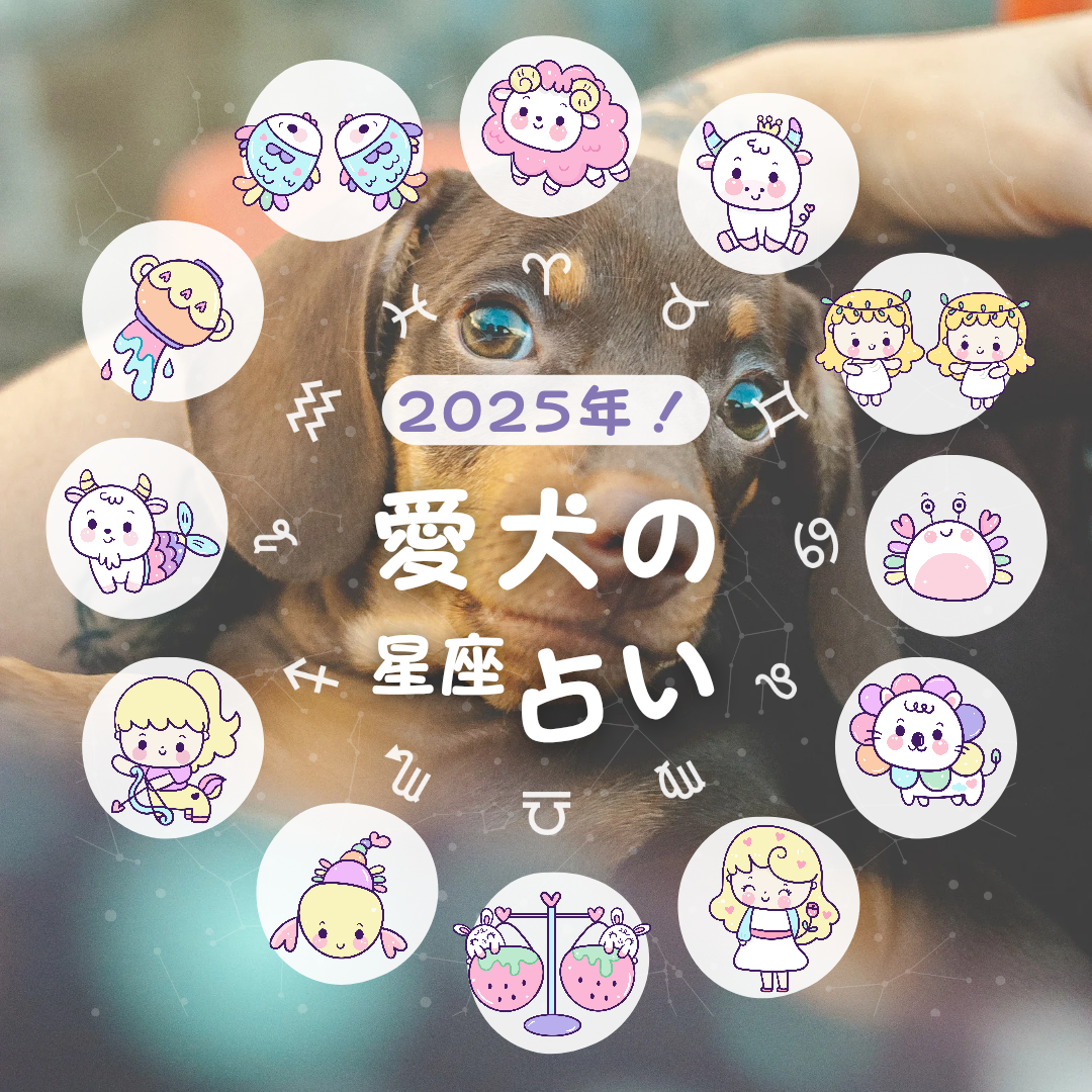 12星座でわかる！愛犬の2025年運勢占い 〜健康運から愛情運まで