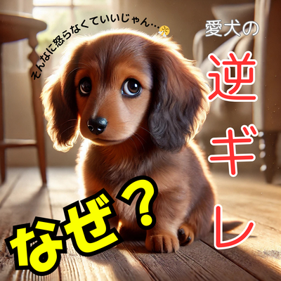 犬が叱られた時に逆ギレするのはなぜ？原因と対処法を徹底解説！