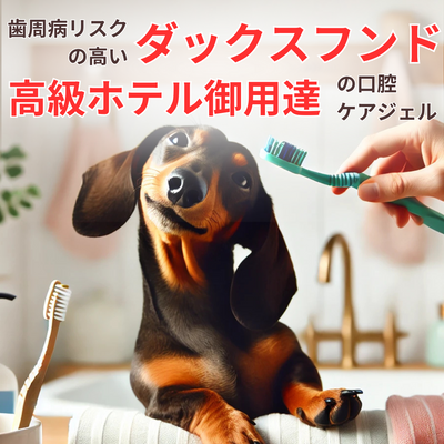 歯周病リスクの高いダックスフンドに【高級ホテル御用達の口腔ケアジェル】が選ばれる理由