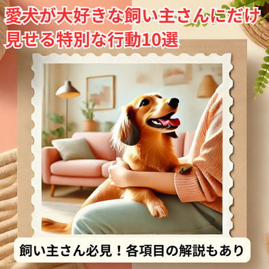 愛犬が大好きな飼い主さんにだけ見せる特別な行動10選【飼い主必見】