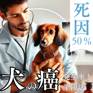 犬の死因の50%はがん！？発生率・死亡率・予防法を徹底解説！