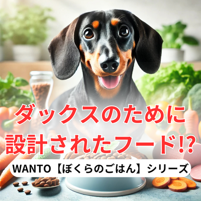 ダックスフンドのために設計されたフード！？WANTO【ぼくらのごはん】シリーズ