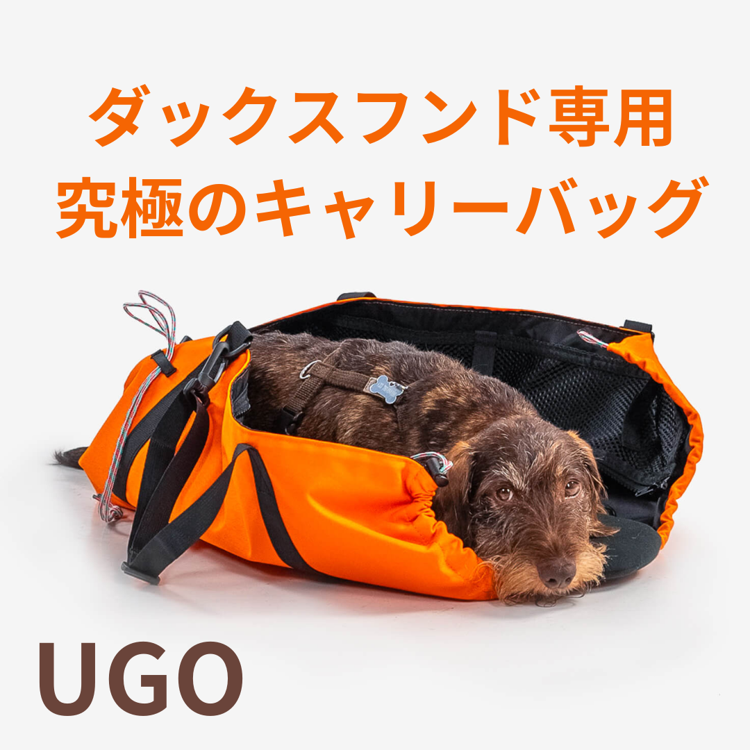 ダックスフンド専用！究極のキャリーバッグ【UGO（ユーゴ）】