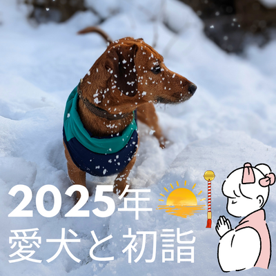 2025年の幸運を呼ぶ愛犬との初詣ガイド【成田山新勝寺】