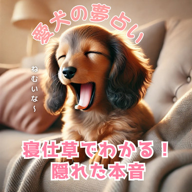 愛犬の夢占い！寝ているときの仕草でわかる隠れた本音