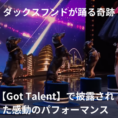 ダックスフンドが踊る奇跡【Got Talent】で披露された感動のパフォーマンス