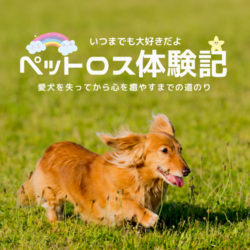 ペットロス体験記】愛犬を失ってから心を癒やすまでの道のり