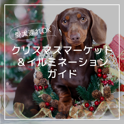 愛犬と一緒に行けるクリスマスマーケット＆イルミネーションガイド