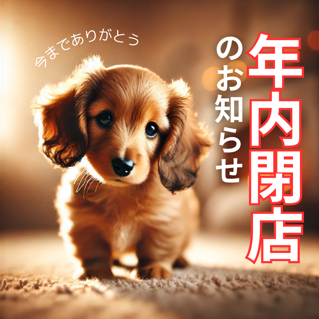 ドキシーウォッチ(年内閉店のお知らせ) ドキシーウォッチ(年内閉店のお知らせ)