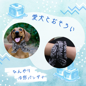 タイムセール【愛犬とお揃い】ひんやり冷感バンダナ2枚セット※夏期限定