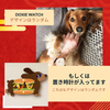 Doxie Watch入り！2025新春ごちゃまぜ福袋+20,250円分のクーポン付き