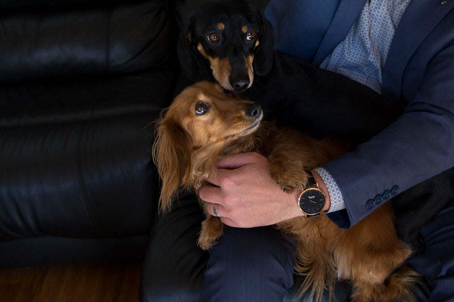 Doxie Watches（ドキシー・ウォッチ）日本公式オンラインショップ