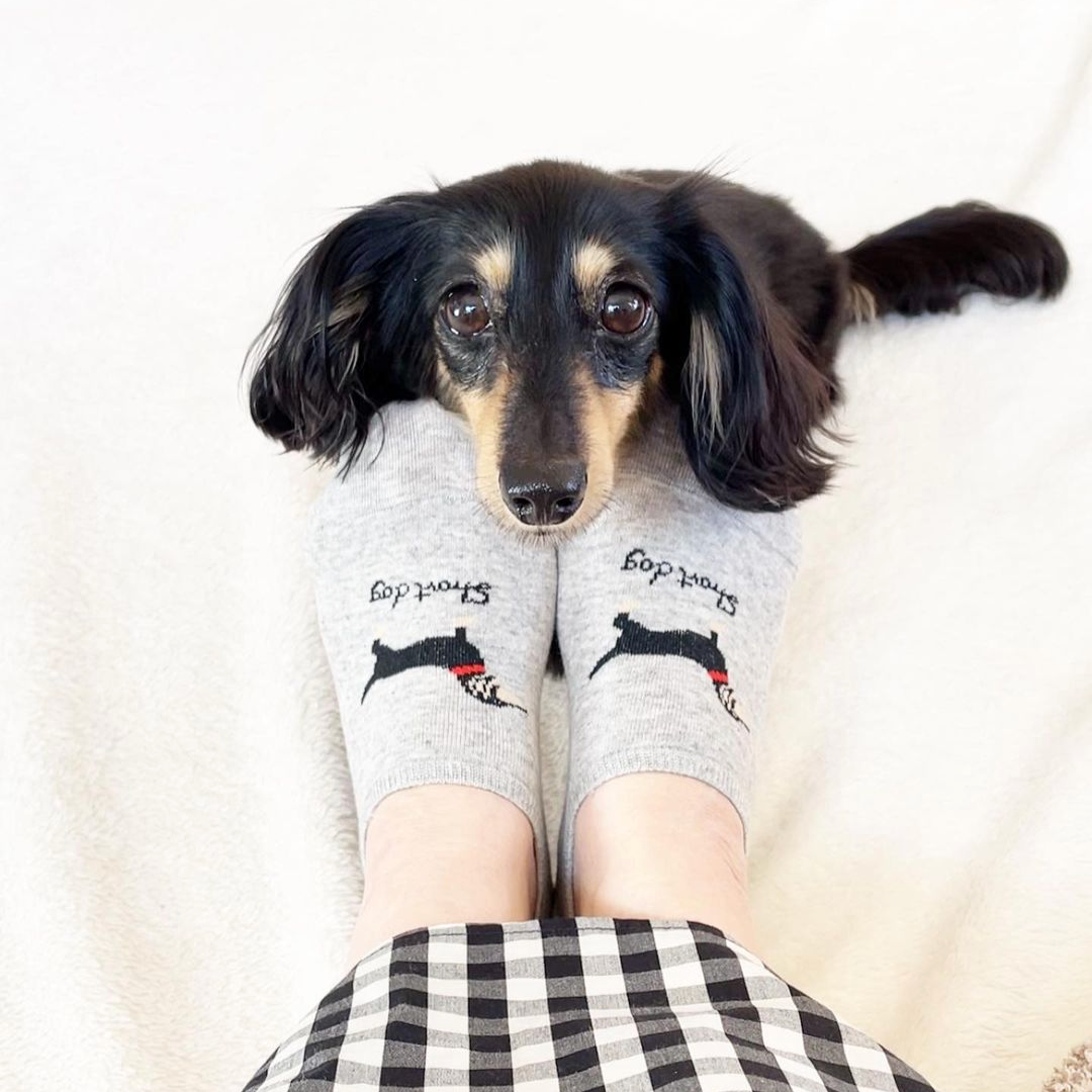 2023-04-08T172648.851_1080x. 2023-04-08T172648.851_1080x.